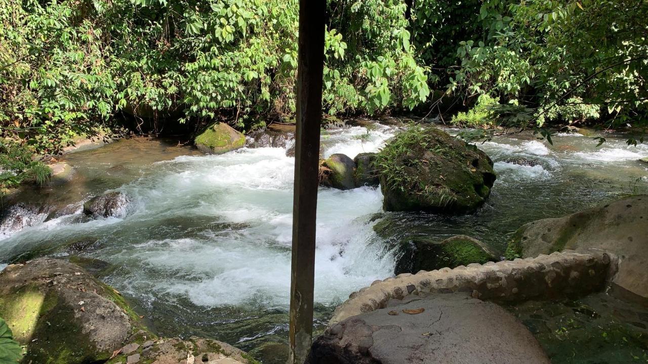 Casa Vitality Bed And Breakfast - Playa Guiones, Nosara - 4 Minute Walk To The Beach Exterior foto